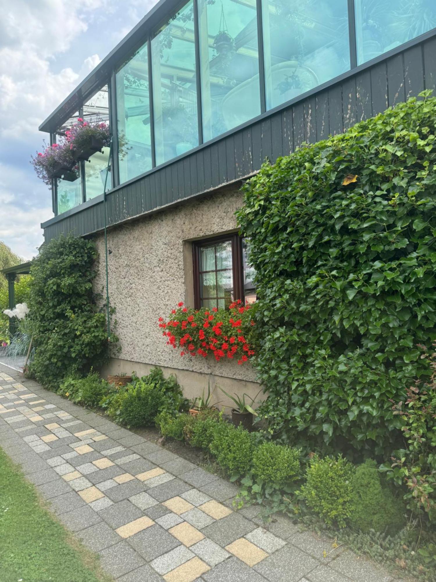 Ferienwohnung Hinterhermsdorf Glaser เซบนิทซ์ ภายนอก รูปภาพ
